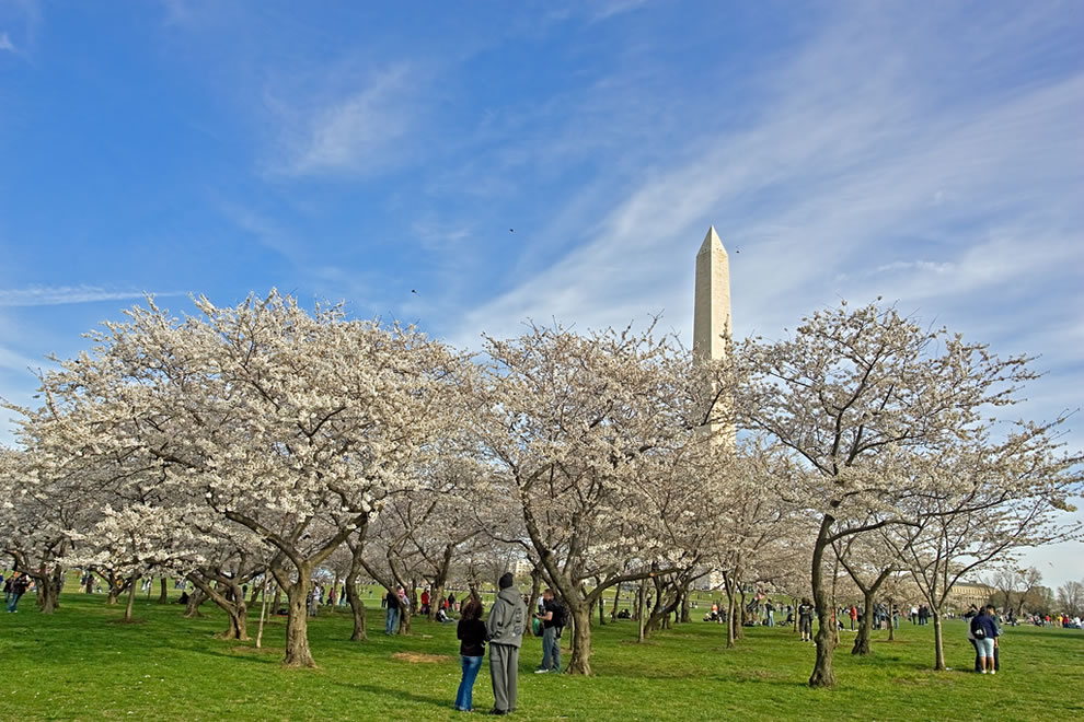 赛后突围战来临，华盛顿奇才围绕荷甲完成体检，引发热议，更衣室氛围转暖的简单介绍-乐鱼官方app